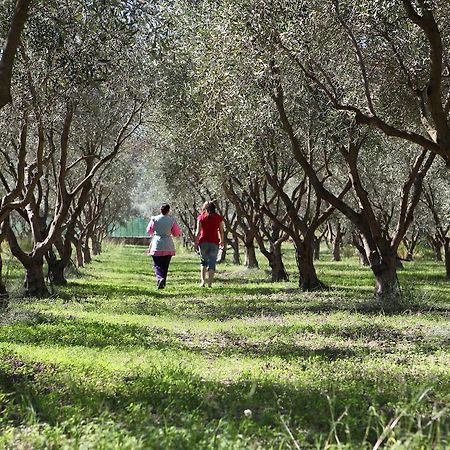 Agriturismo A'Sena-Runcatini Ciminà 外观 照片