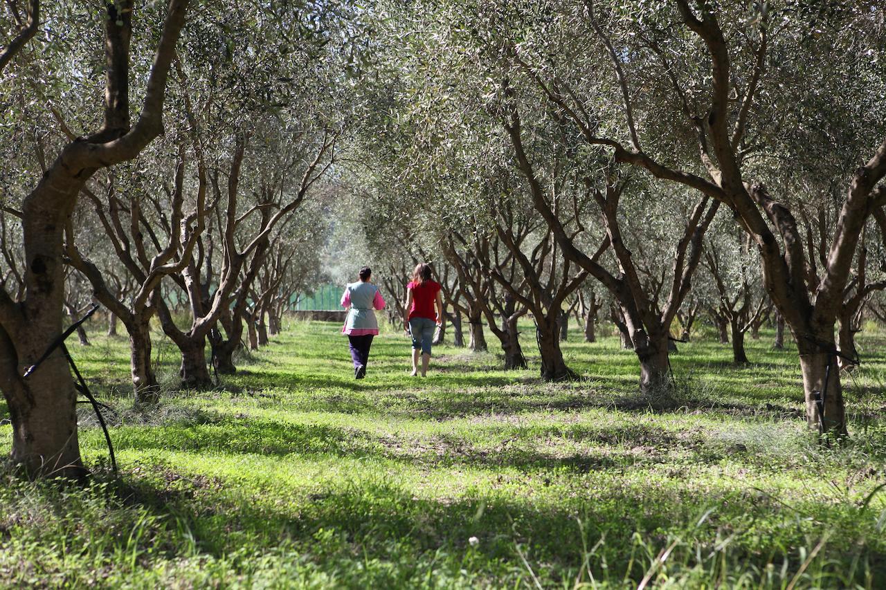 Agriturismo A'Sena-Runcatini Ciminà 外观 照片